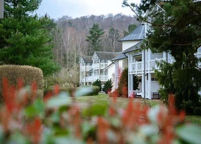 Duenenpark - Komfort Mit 2 Schlafzimmern Und Terrasse Im Erdgeschoss 004 Lejlighed *